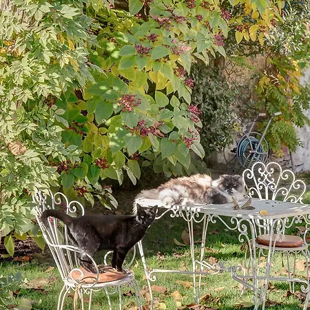 Bed & Breakfast La Casa Delle Grottesche