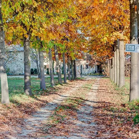 Bed & Breakfast La Casa Delle Grottesche